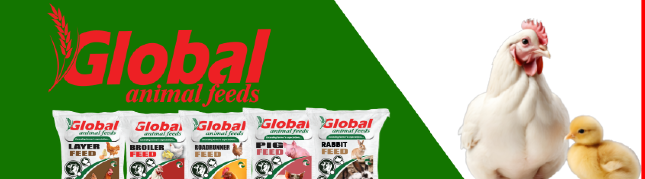 Global Animal feeds